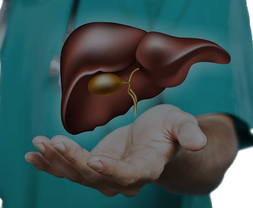 Liver Cancer : कोलेस्ट्रॉल की दवाइया लिवर कैंसर के खतरे को करेगी कम। जानते है पूरी जानकारी