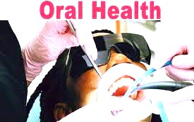 Poor oral Health : खराब ओरल हेल्थ से बढ़ सकता है डायबिटीज और हृदय रोग का खतरा